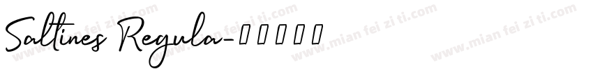Saltines Regula字体转换
